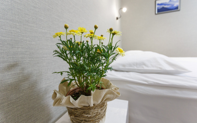 Bambuk-Hutor Guest House