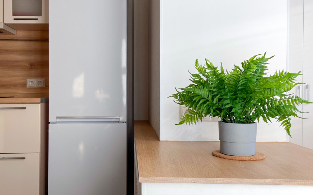 Квартира Fly Home аэропорт Шереметьево