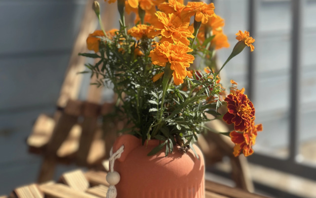 Частный дом АртДача