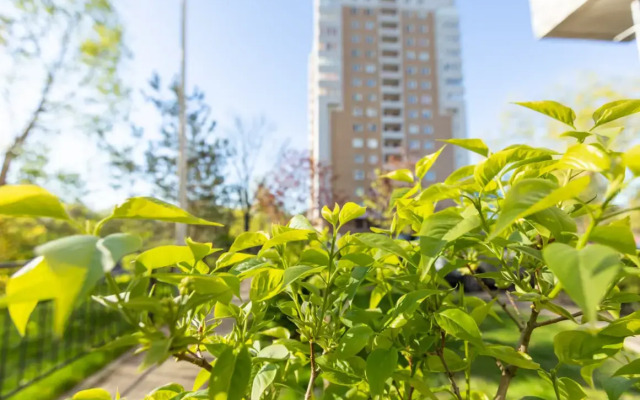 Квартира Панорама