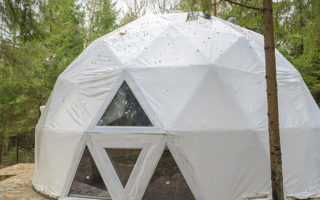 Частный дом Дом-Сфера в Лесу