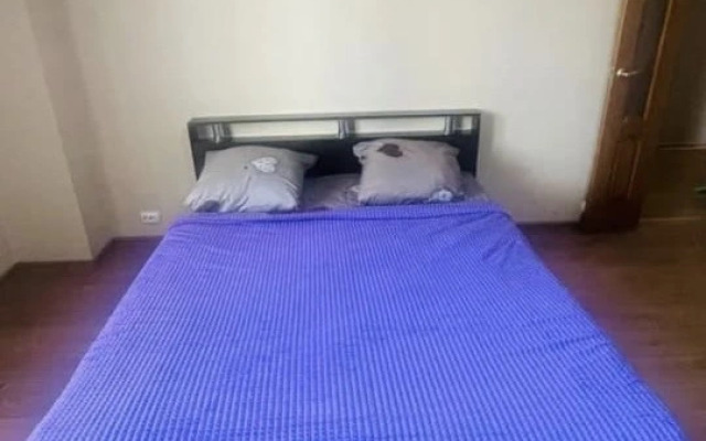 Квартира двухкомнатная в Коминтерновском районе