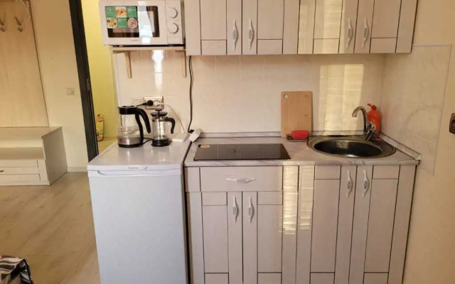 S mini-kukhney i sobstvennym sanuzlom Apartment