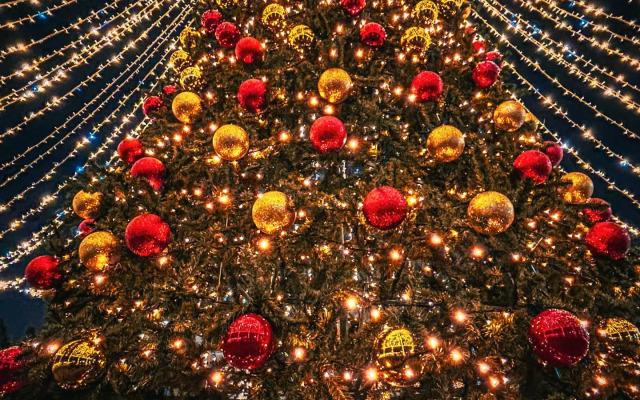 Квартира West Kranz