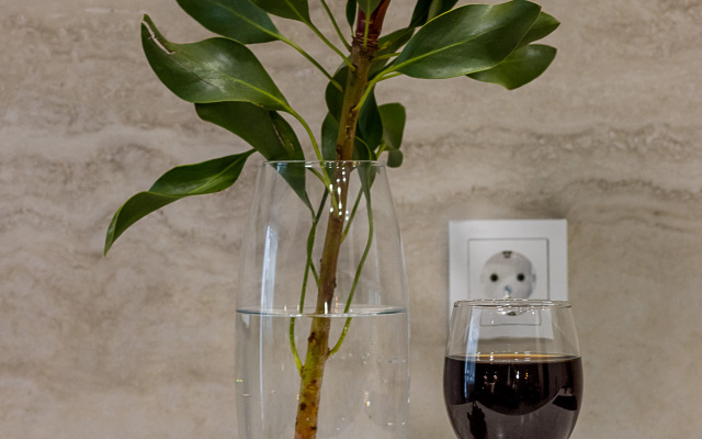 Апартаменты ELIZA HOME Московские Ворота