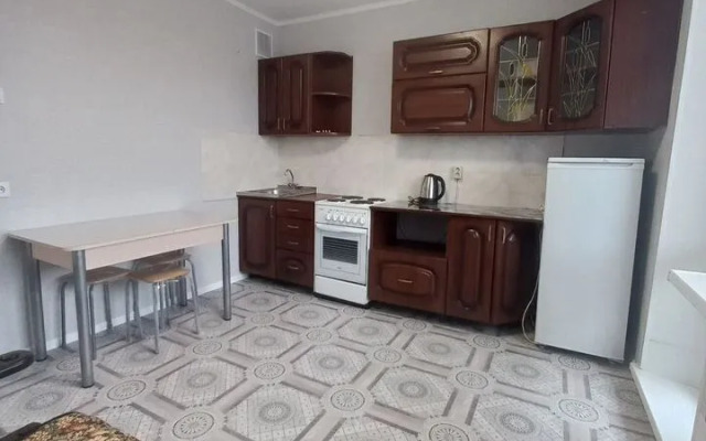 Na Radischeva  Flat