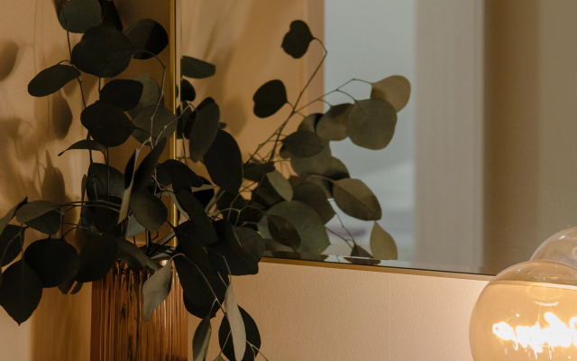 Sovremennaya Uyutnaya Studiya V Zhk Biznes-Klassa Letniy Flat