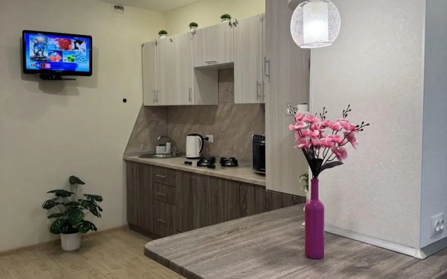 Stilnaya V Elitnom Dome Flat
