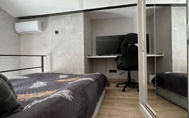 Apartamenty Uyutnaya studiya Grey Cat u Naberezhnoj reki Yauzy