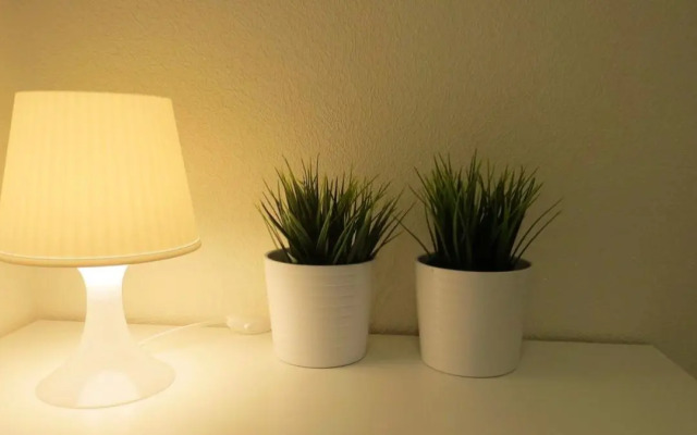 Квартира с прекрасным видом на реку Волхов