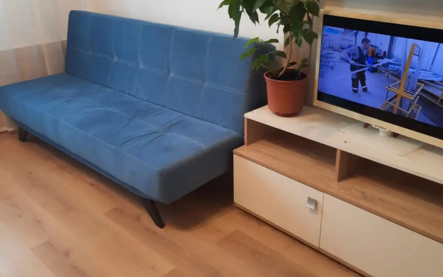 Квартира Уютная студия рядом с НИИ Петрова