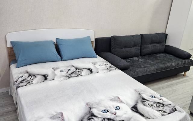 Квартира студия просторная современная