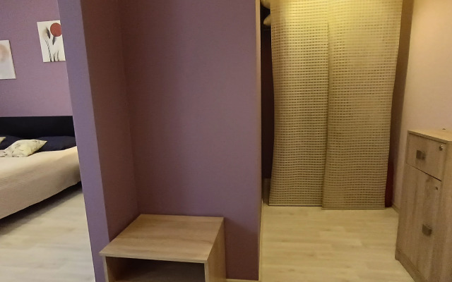 Апартаменты Библиотечная 45 #1