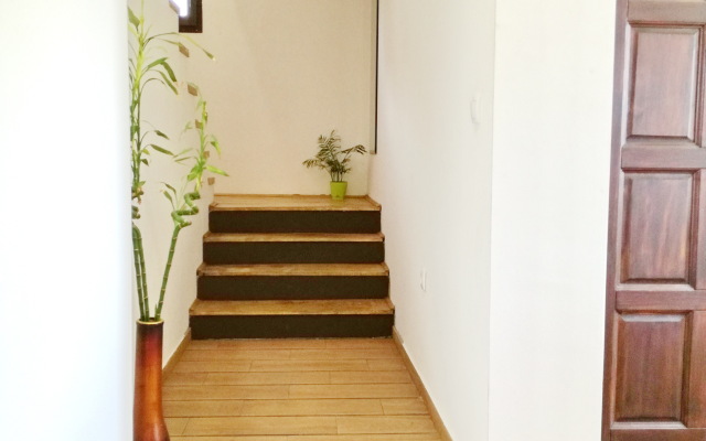 Tivat Luxury Apartments