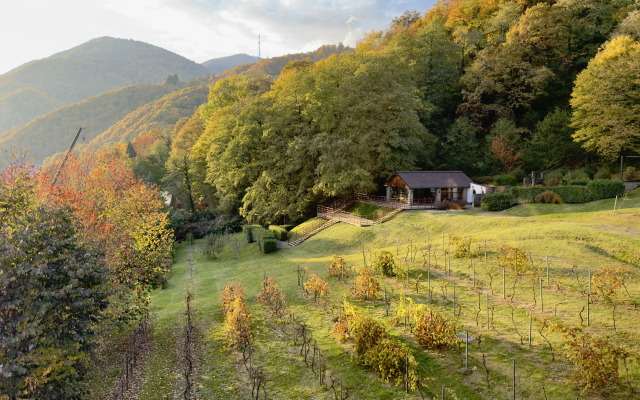 Квартира Дизайн-студия SAKURA