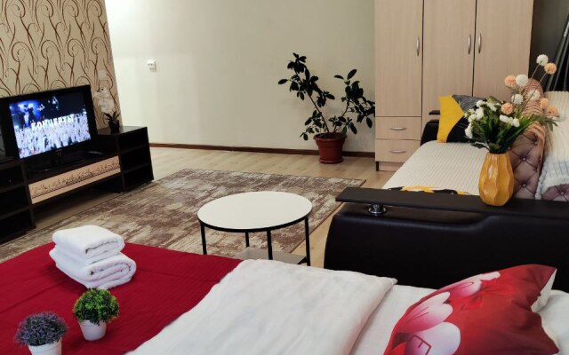 Апартаменты 1-комнатные в Центре Города на Ленина