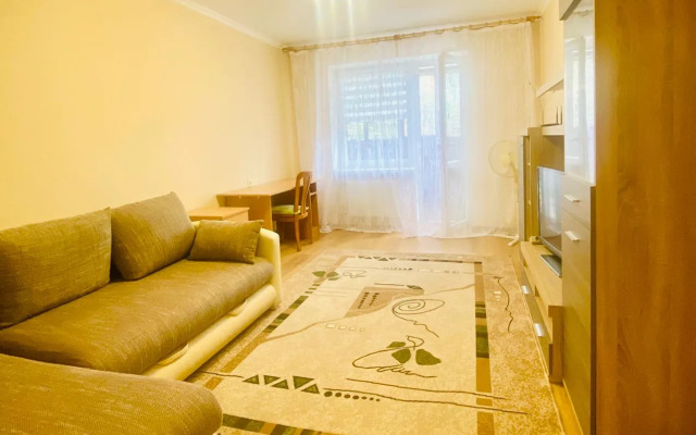 Na Chkalova 48A Flat