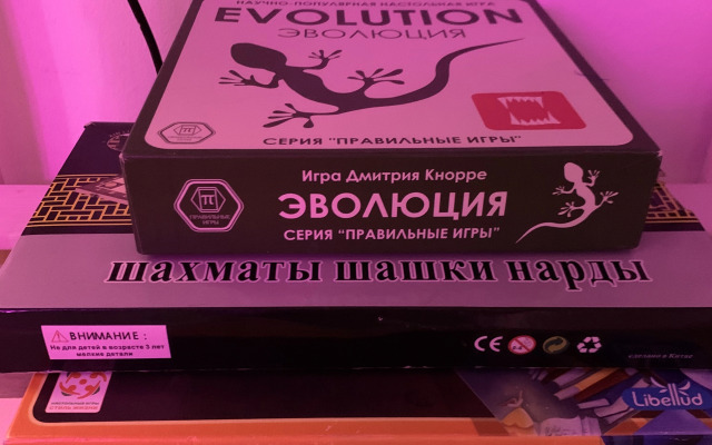 Апартаменты на Вознесенском Шоссе