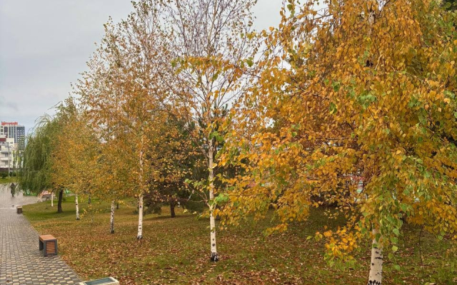 Квартира Студия без отделки у озера