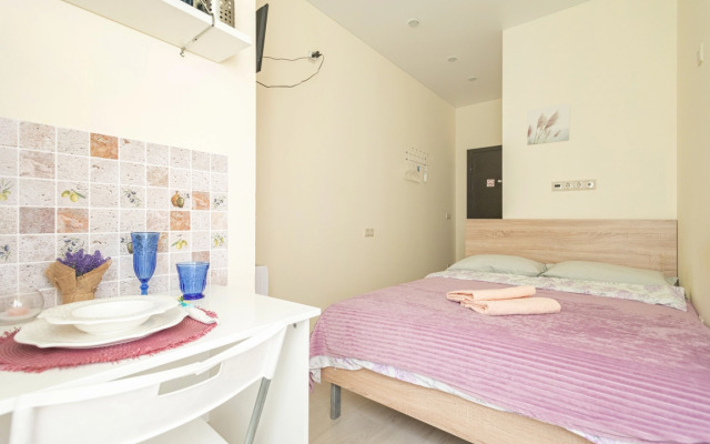 Апартаменты в ЖК Царская Площадь 760-В