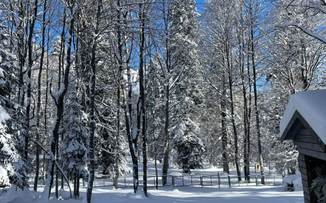 База отдыха Горница