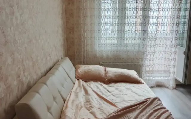 Квартира уютная возле аэропорта Внуково