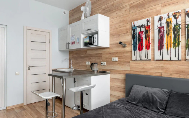 Апартаменты Букинист 233/1