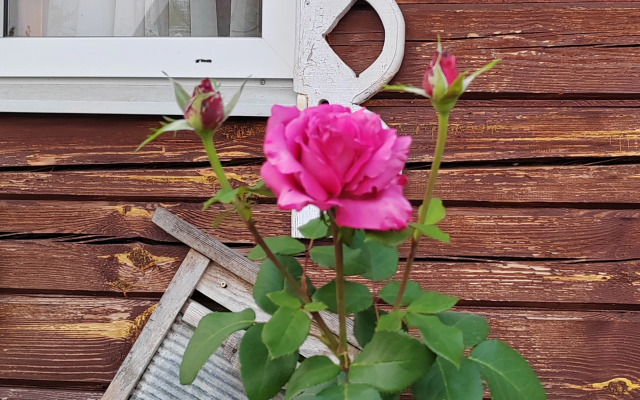 Гостевой Дом Усадьба Деревенский рай