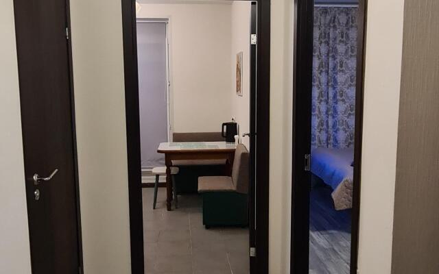 Odnokomnatnaya Balashikha Savvino Flat