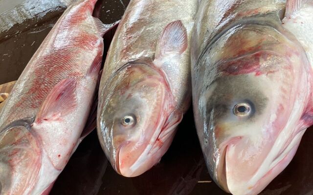 Отель Клевое место