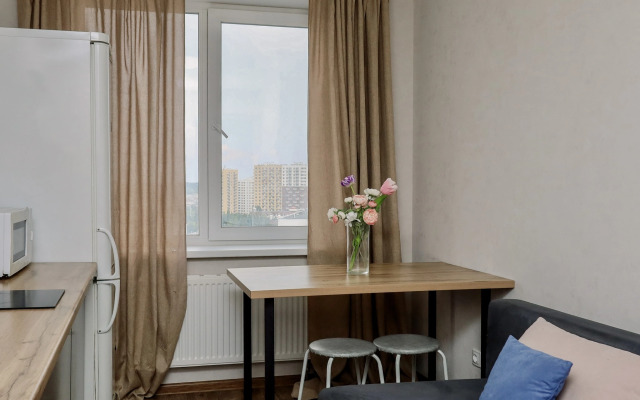 1 komnatnaya kvartira na prospekte Kalashnikova Apartments