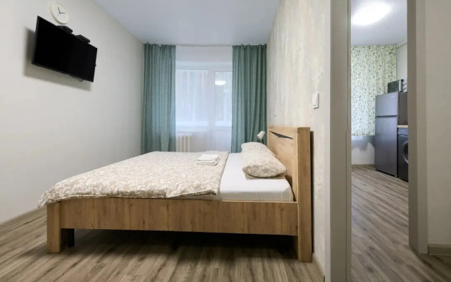 Odnokomnatnyye Vozdushnaya gavan 7 Apartments