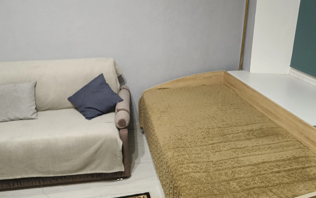 Квартира Студия в центре Волкова 3