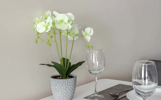 Апартаменты Knokey Спартак Улучшенные