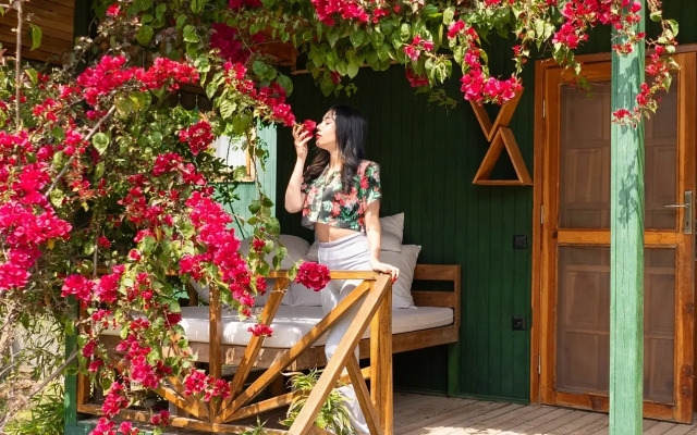 Etenna Beach Bungalows
