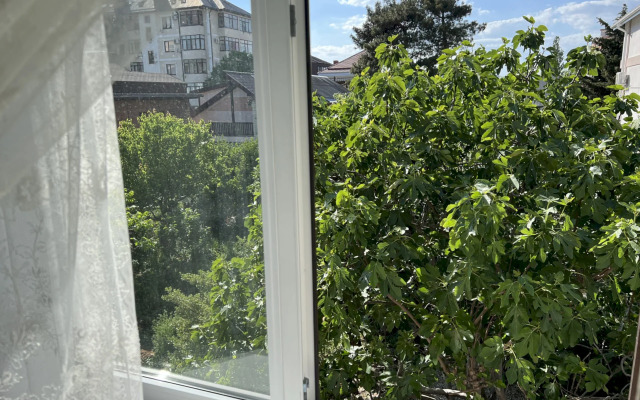 Апартаменты 387 Мичурина 7