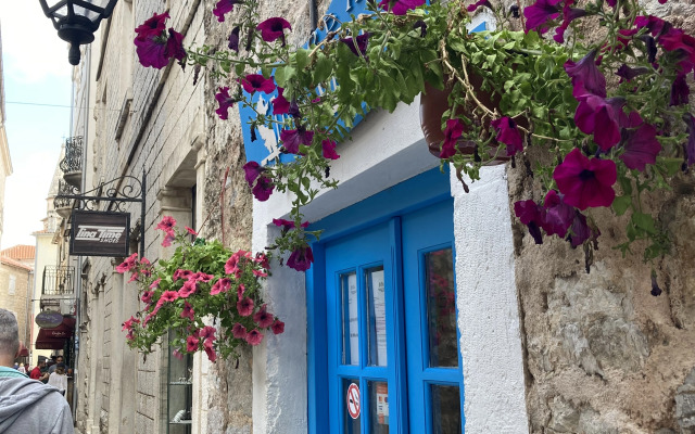 Apartments Budva City De Lux
