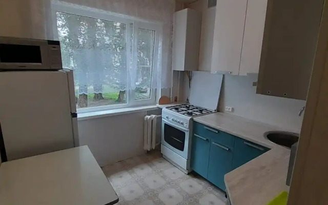 Dvuhkomnatnaya v tsentre goroda Flat