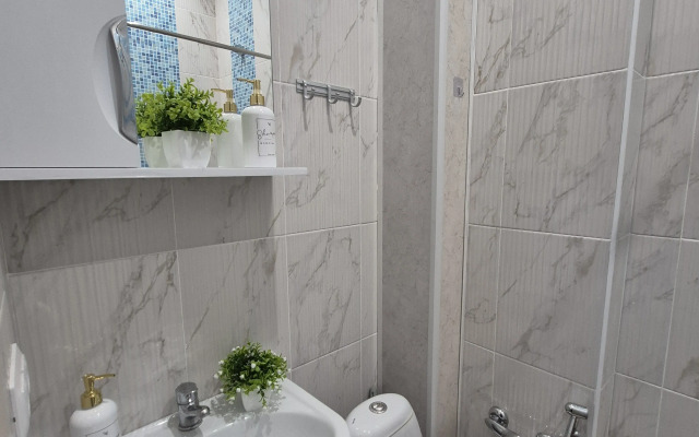 Квартира в центре Нижнего Новгорода,площадь Горького