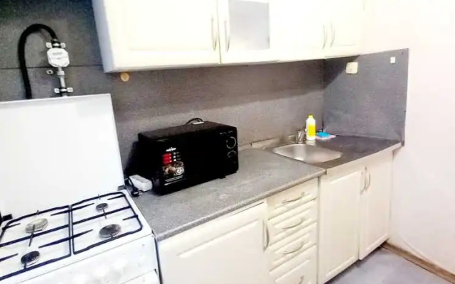 Апартаменты на Краснореченской 98 (1)