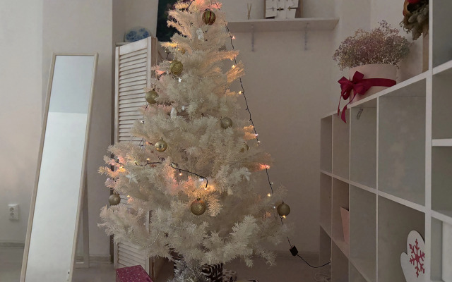 Апартаменты бизнес-класса  рядом ледовый дворец