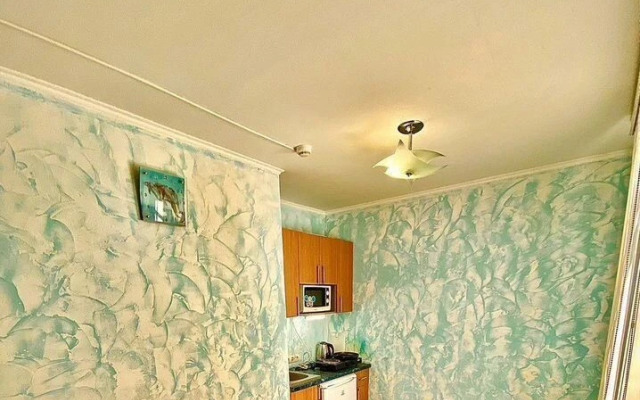 Odnokomnatnaya 2 Flat