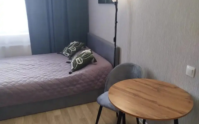 Квартира Студия на Околице