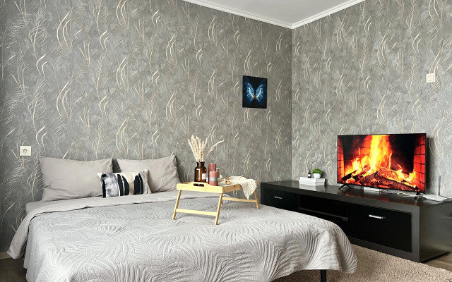 Квартира Просторная около Планеты