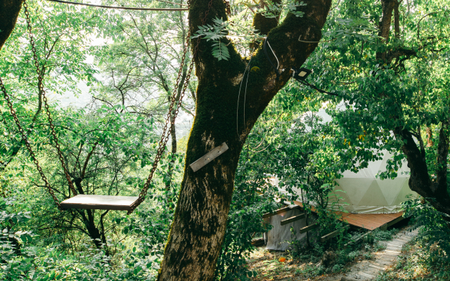 Wine Space Glamping
