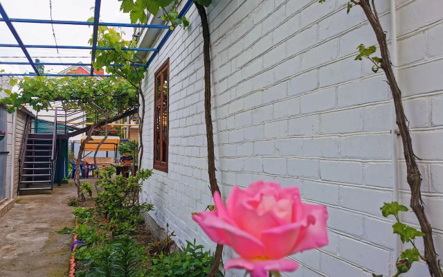 Na Peschanoy 23 Guest House