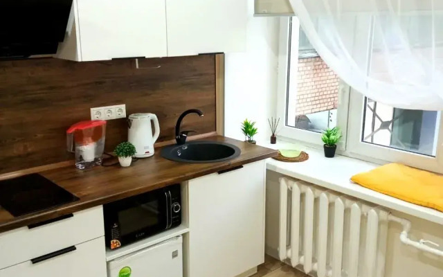 Апартаменты Студия на Матросской Тишине