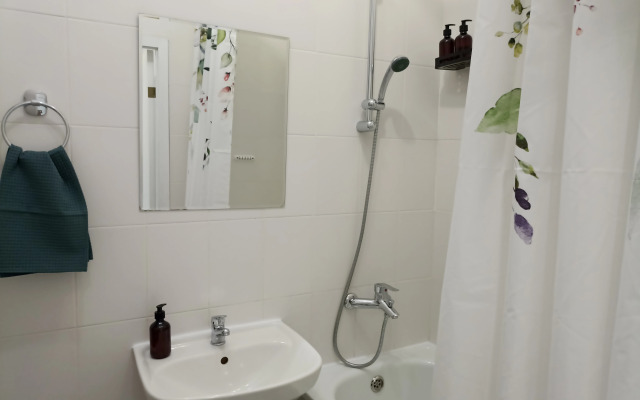 Vidovaya V Tsentre Kirovska Flat