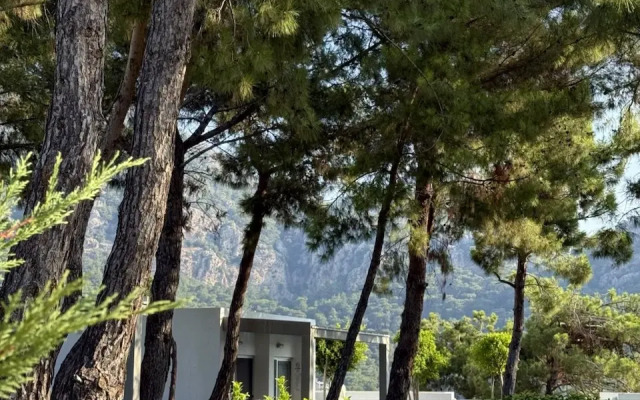 Отель Z-Villas Beach Hotel