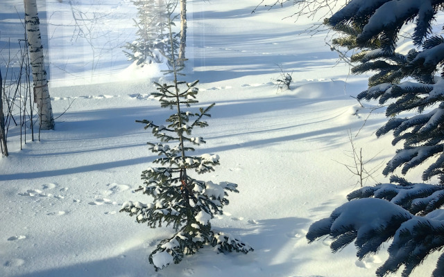 Частный дом Невесомость